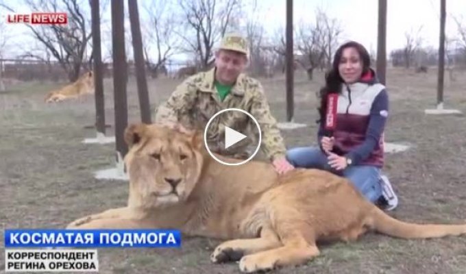 Крымские львы будут защищать Крым от бандеровцев и фашистов (майдан)