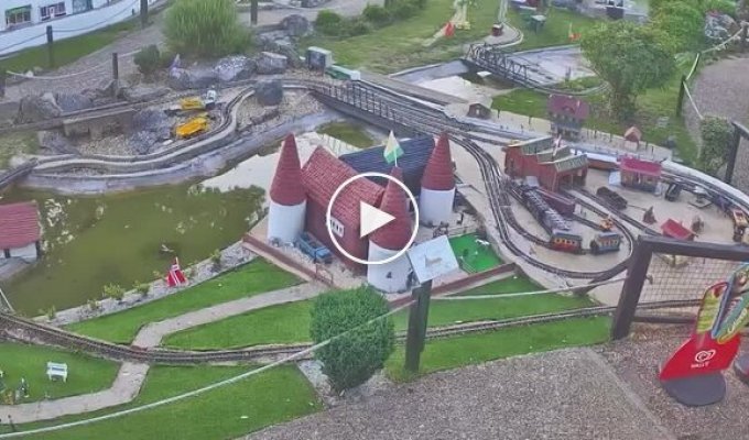 Лисы превратили макет деревни в собственную игровую площадку