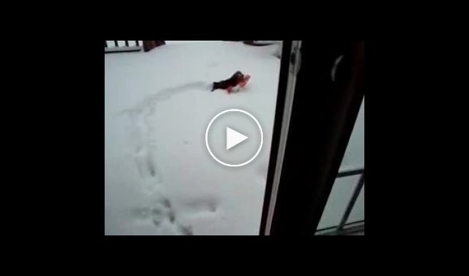 Щенок на снегу