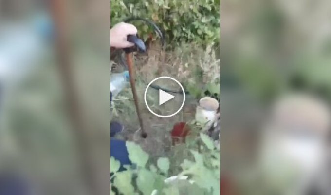 Жители оккупированного Донецка ссорятся за воду