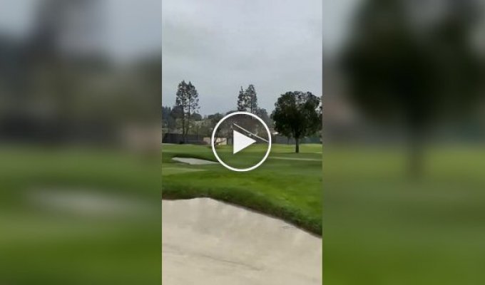 Аварийная посадка самолета попала на видео