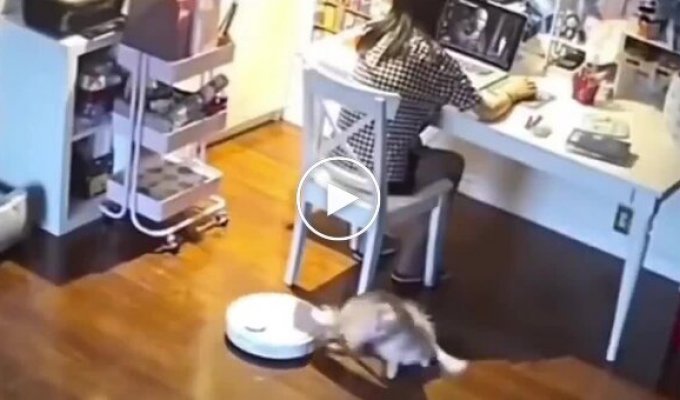 Реакция на пылесос