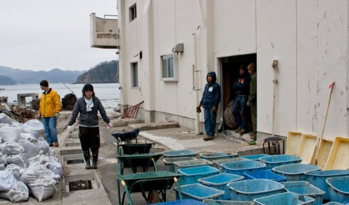 Япония в зоне бедствия – волонтерские приключения (44 фото)