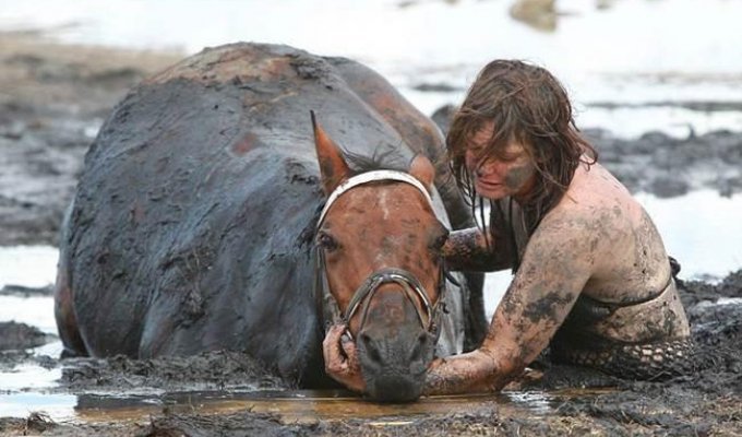 The horse sank to the bottom, and the girl could not help, but hugged him and stayed close