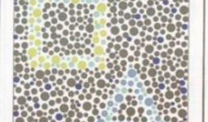 Color blindness test (26 photos)