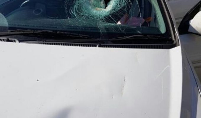 Запчасть от грузовика пробила лобовое стекло (3 фото + видео)