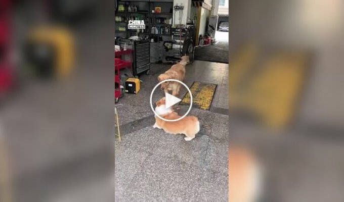 Необычная традиция двух друзей на СТО