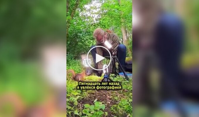 Швед, ставший персональным фотографом белок