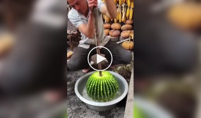 Как приготовить кактус