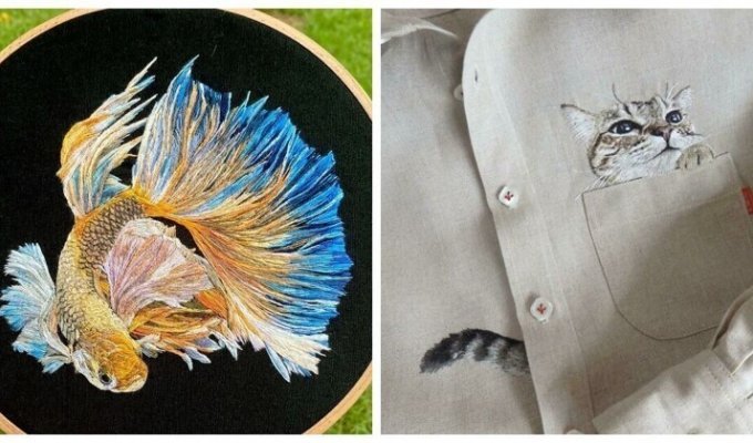 25 amateur embroideries that you can't help but like (26 photos)