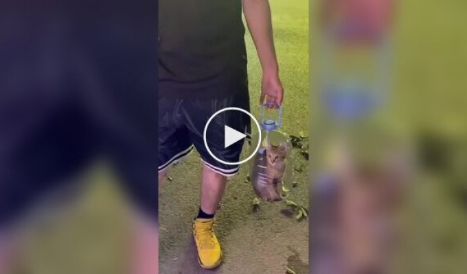 Китаец носит кота в пятилитровой бутылке с дыркой