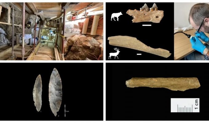Bones of animals eaten by humans 45,000 years ago were found in Germany (7 photos)