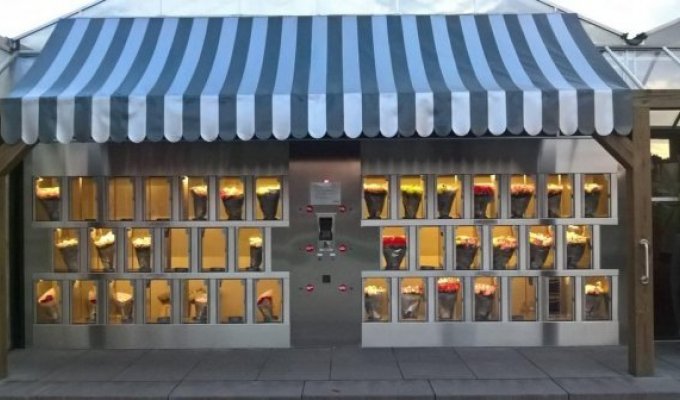 Торговые автоматы с непривычным содержимым (16 фото)