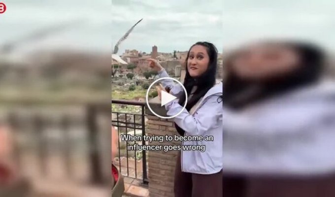 A girl tried to interview a seagull