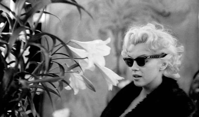 Rare Photos of Marilyn Monroe in New York (32 photos)