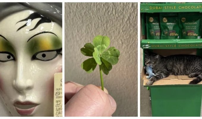 22 незвичайні повсякденні дивацтва, які не пояснити логікою (23 фото)