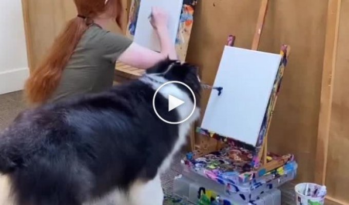 Собака, которая рисует лучше, чем большинство людей