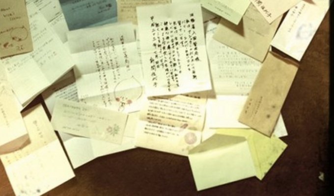 Женщина убираясь в шкафу нашла письмо, которое изменило ее жизнь (9 фото)