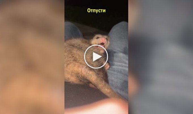 Девушка не в восторге от нового друга ее парня