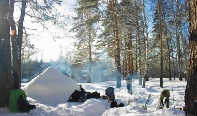 Как выжить зимой в лесу (6 фото)