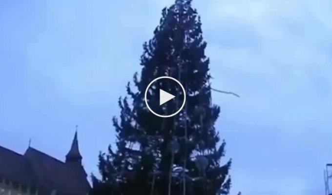 Romania's Tallest Christmas Tree Falls