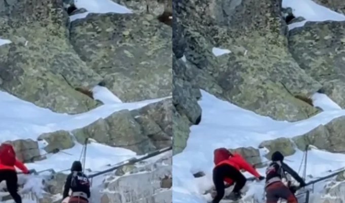 Семейная пара поднялась на самую высокую гору Польши с младенцем (3 фото + 1 видео)