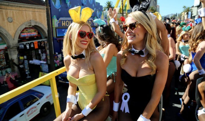 Кролики на параде в честь 60-летия Playboy (25 фото)