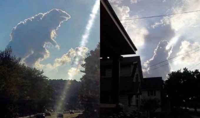 40 Pictures to Lift Your Spirits (41 photos)