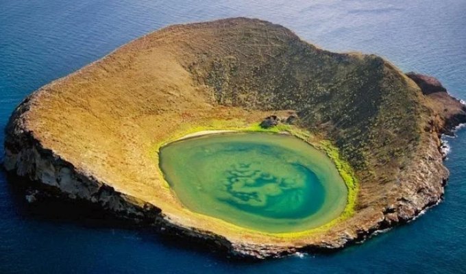 Галапагоссы (7 фото)