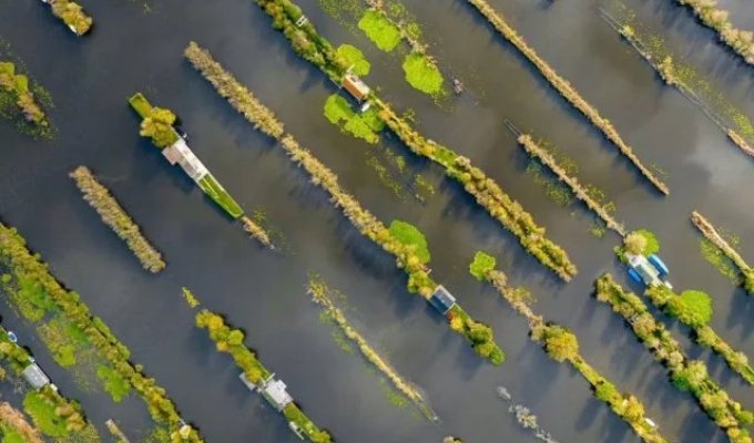 A paradise for introverts discovered in the Netherlands – the Loosdrecht lakes (9 photos)