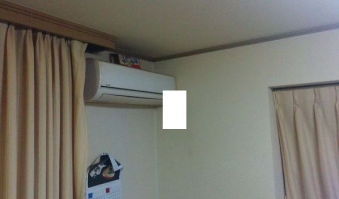 Крысы предпочитают вешаться не в холодильниках, а на кондиционерах (3 фото)