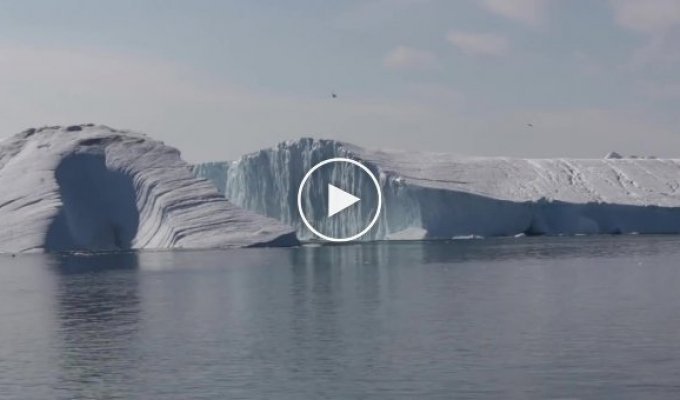 Раскол огромного айсберга, как это выглядит вблизи
