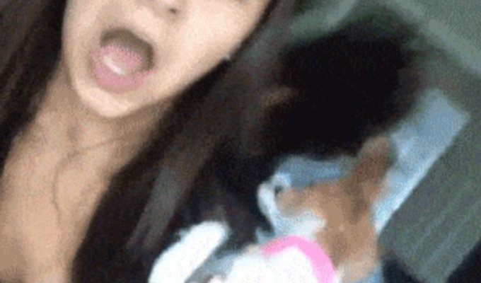 Классные гифки. Выпуск 2736 (75 гифок)