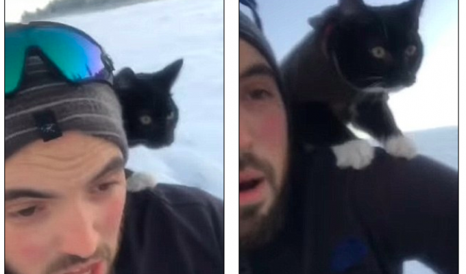 Прокатиться с горки вместе с котиком — парень снял классное видео (3 фото + 1 видео)