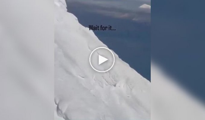 In Alaska, a helicopter pilot spotted a bear taking a rest on a mountaintop