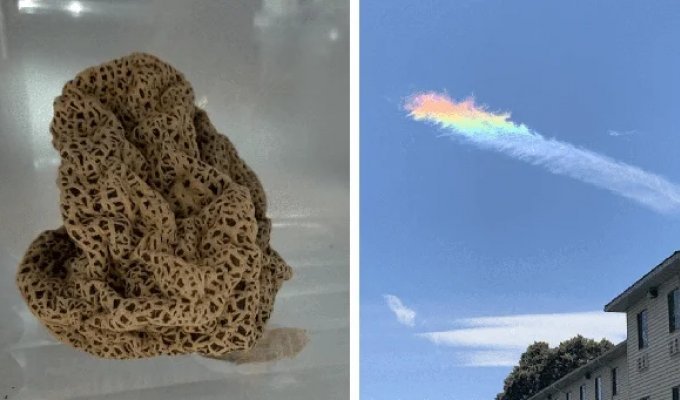 35 Times People Stumbled Upon Something Incredible and Amazing (36 photos)