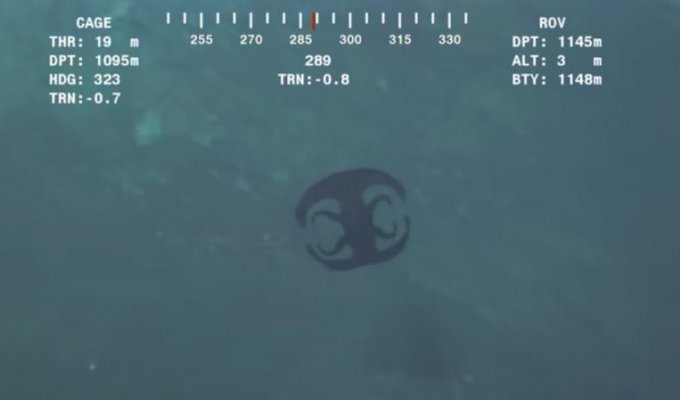 Підводний «інопланетянин», схожий на логотип (2 фото + 1 відео)