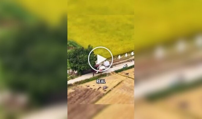 Эффект Tilt Shift, который делает все объекты миниатюрными