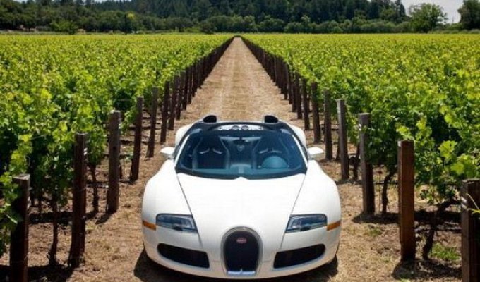 Bugatti Veyron Grand Sport - самый дорогой кабриолет (31 фото)