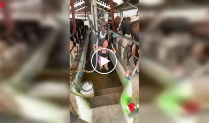 Будни фермера без прикрас: первый опыт на ферме