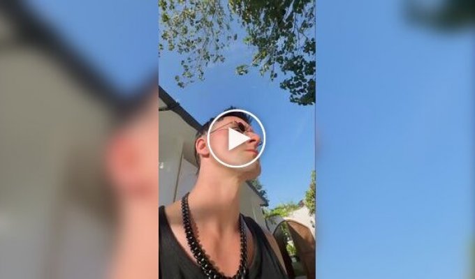 A guy found a singing gate and turned it into a powerful Drum and Bass track & Bass, Venjent, Music, gate, funny, fence, sound