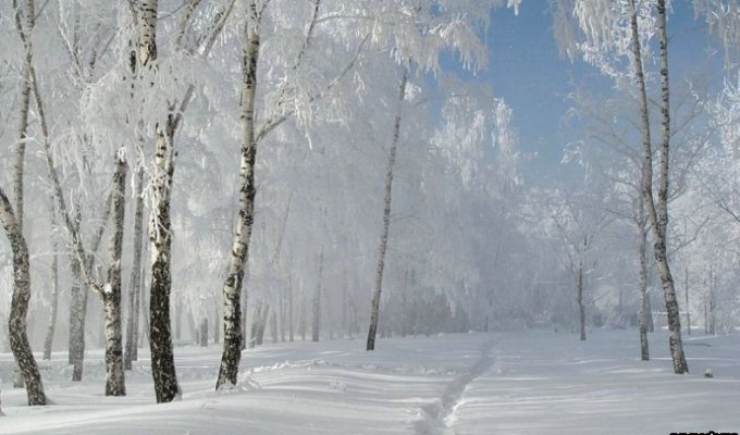 Русская зима (39 фото)