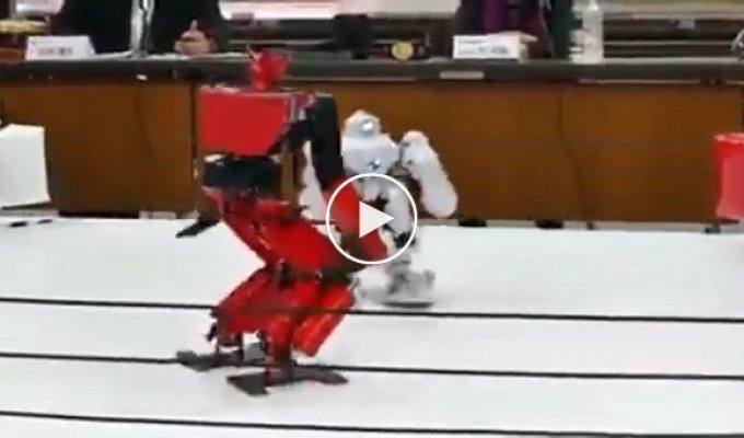 Соревнования дагестанских робототехников