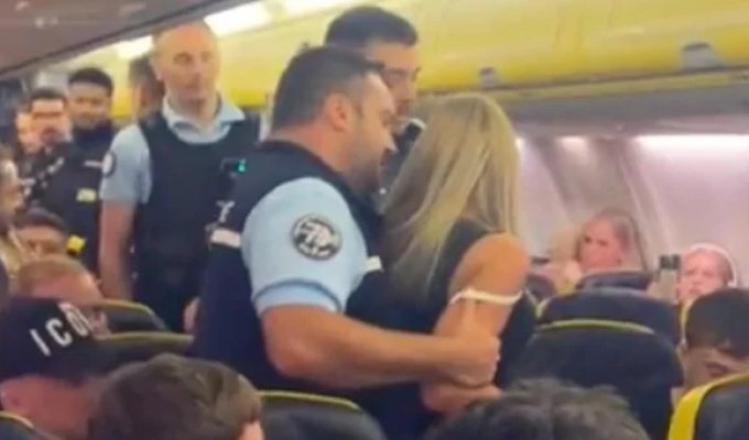 British couple fought with flight attendants and spat on Ryanair flight (5 photos + 1 video)