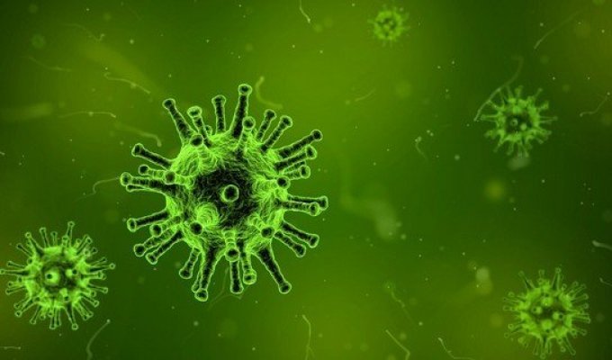 Эксперт считает, что американский грипп-убийца страшнее коронавируса (2 фото)
