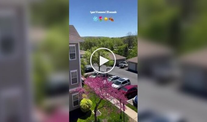 4 сезона года за 20 секунд