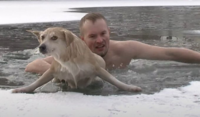 Журналист бросился в ледяную воду и спас собаку из проруби (2 фото + 1 видео)