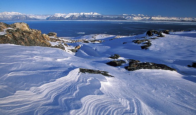 Арктика... замечательные фото (119 фото)