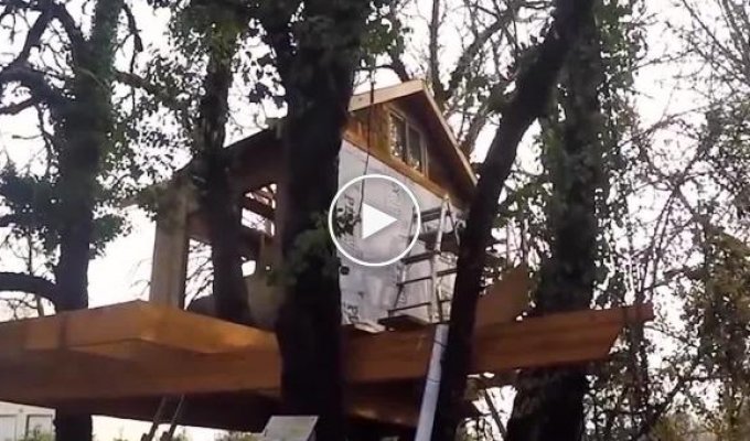 Папа для своих детей, сделал невероятный дом на дереве своими руками