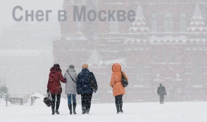 Снегопад в Москве! (21 фото)
